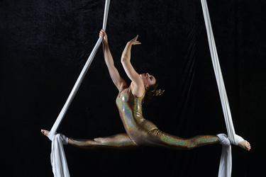 Suelala Aerial Acts - Aerial Silks